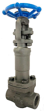 Bellows Seal Globe Valves